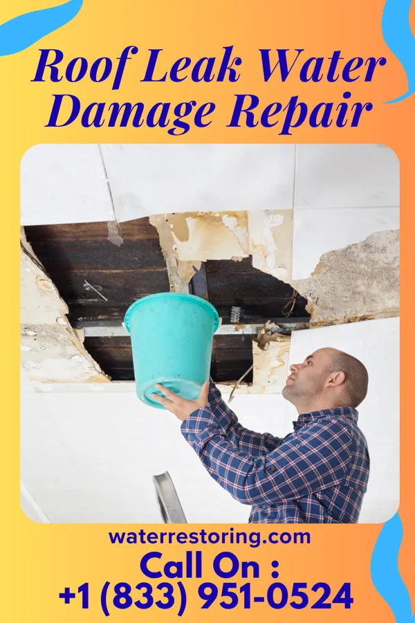 Roof Leak Water Damage Repair in Kandiyohi, MN