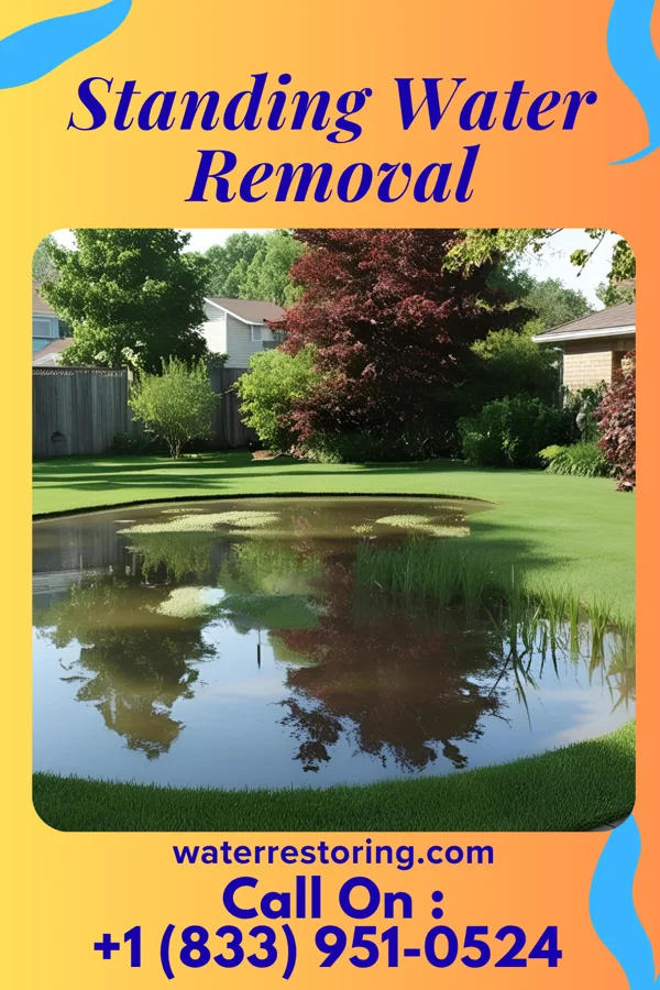 Standing Water Removal in Kandiyohi, MN